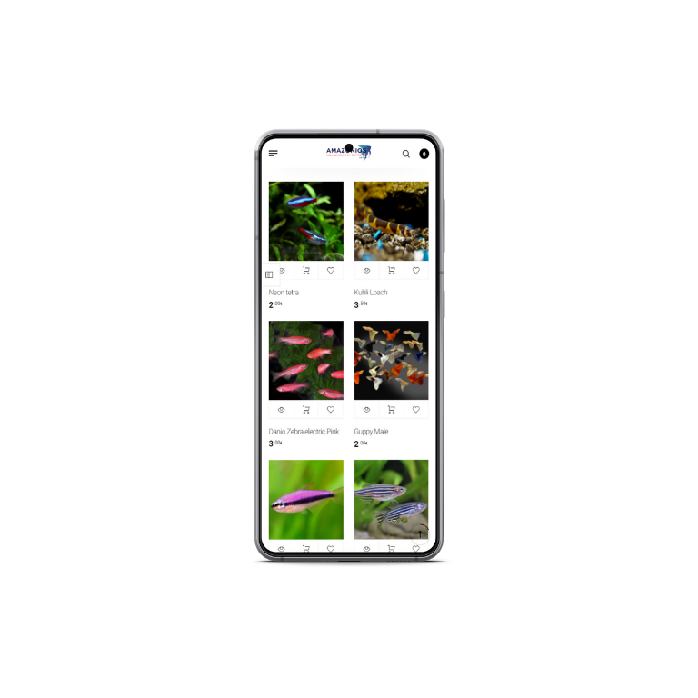 Ιστοσελίδες - Amazonios Mobile