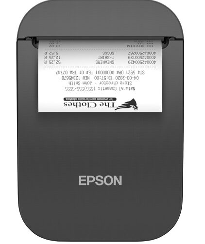 EPSON POS Printer TM-P80II AC (121) , Portable