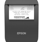 EPSON POS Printer TM-P80II AC (131) , Portable
