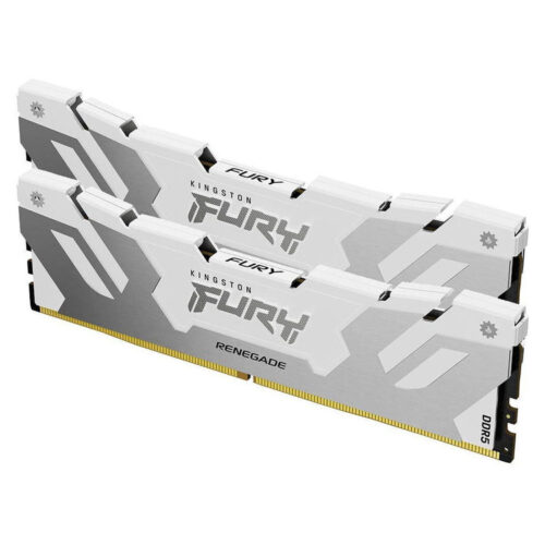 KINGSTON Memory KF564C32RWK2-64 FURY Renegade White DDR5