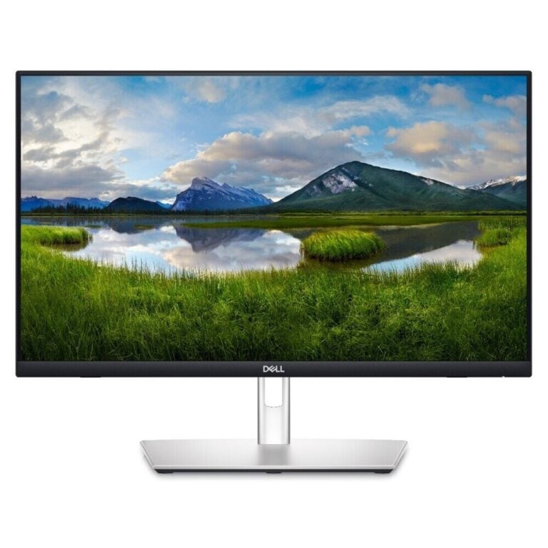 DELL P2424HT 24" IPS Touch 1920 x 1080 (FHD) monitor