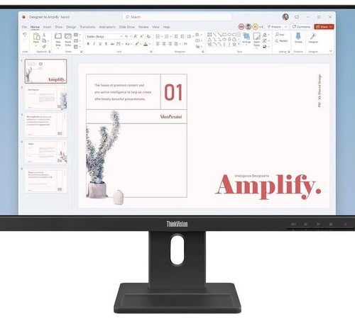 LENOVO Monitor ThinkVision E24-40 23.8&apos;&apos; IPS FHD