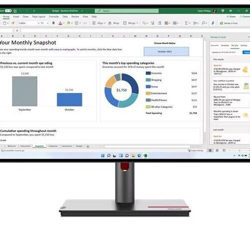 LENOVO ThinkVision P27q-30 27" QHD IPS Monitor