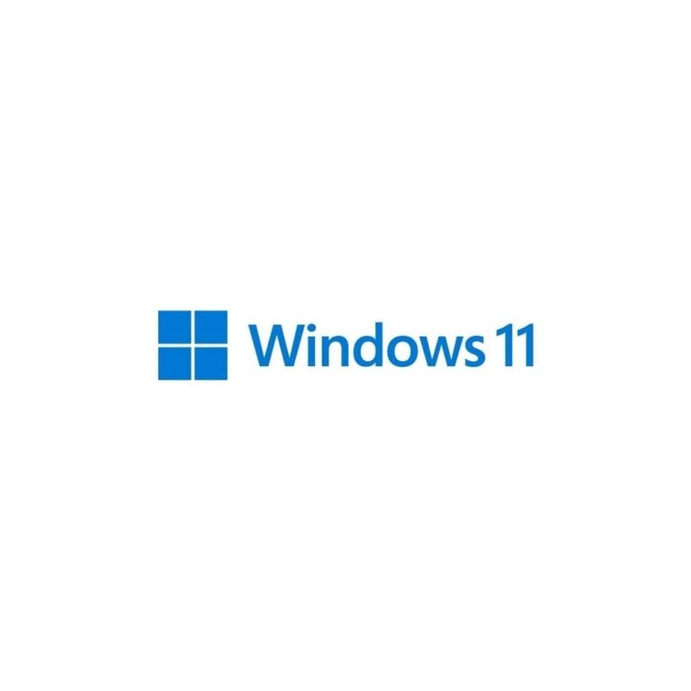 Microsoft Windows 11 Pro ESD key (product image)