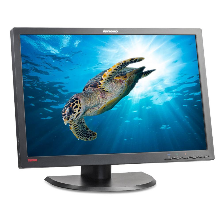 Lenovo LT2452p Monitor - TWO DOTS