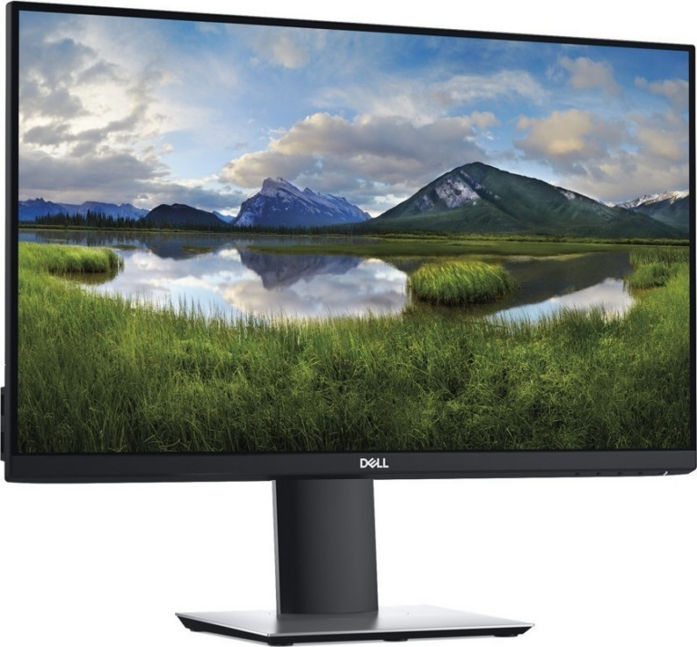Dell P2419H