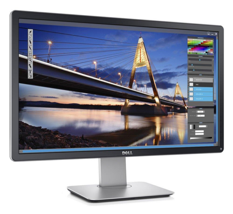 Dell P2416DB