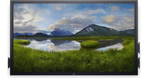 Dell P2416DB
