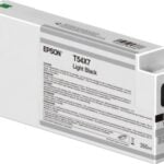 EPSON Cartridge Light Black C13T54X700