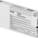 EPSON Cartridge Light Light Black C13T54X900