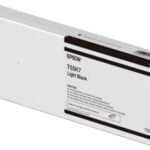 PSON Cartridge Light Black C13T55K700