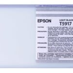EPSON Cartridge Light Black C13T591700