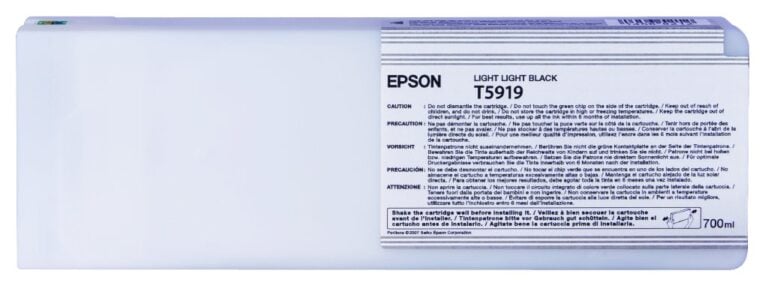 EPSON Cartridge Light Light Black C13T591900