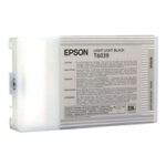 EPSON Cartridge Light Light Black C13T603900