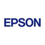 EPSON Cartridge Light Light Black C13T642900
