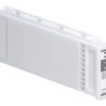 EPSON Cartridge Dark Gray C13T800700