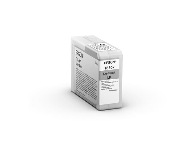 EPSON Cartridge Light Black C13T850700