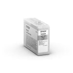 EPSON Cartridge Light Light Black C13T850900