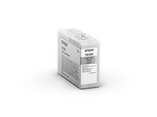 EPSON Cartridge Light Light Black C13T850900