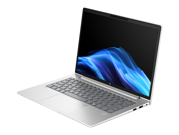Laptop HP ProBook 4 G1a 14 (AMD Ryzen 7 250/24GB/512GB SSD/Windows 11 Pro)